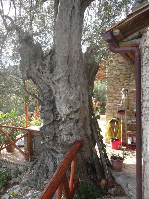 Bed and Breakfast Rocca Del Vento San Pantaleone Екстер'єр фото